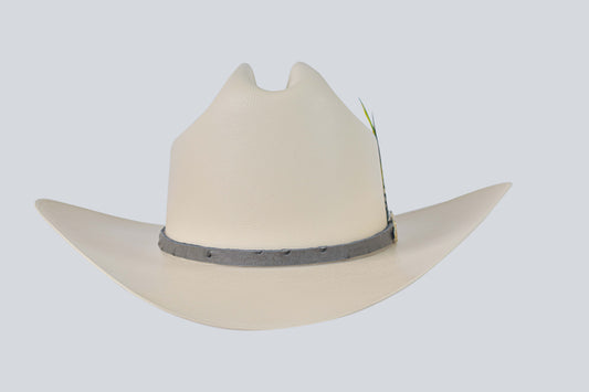 TOMBSTONE 5,000X MASTER CHAPARRAL F10